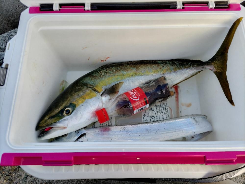 ライトショアジギング