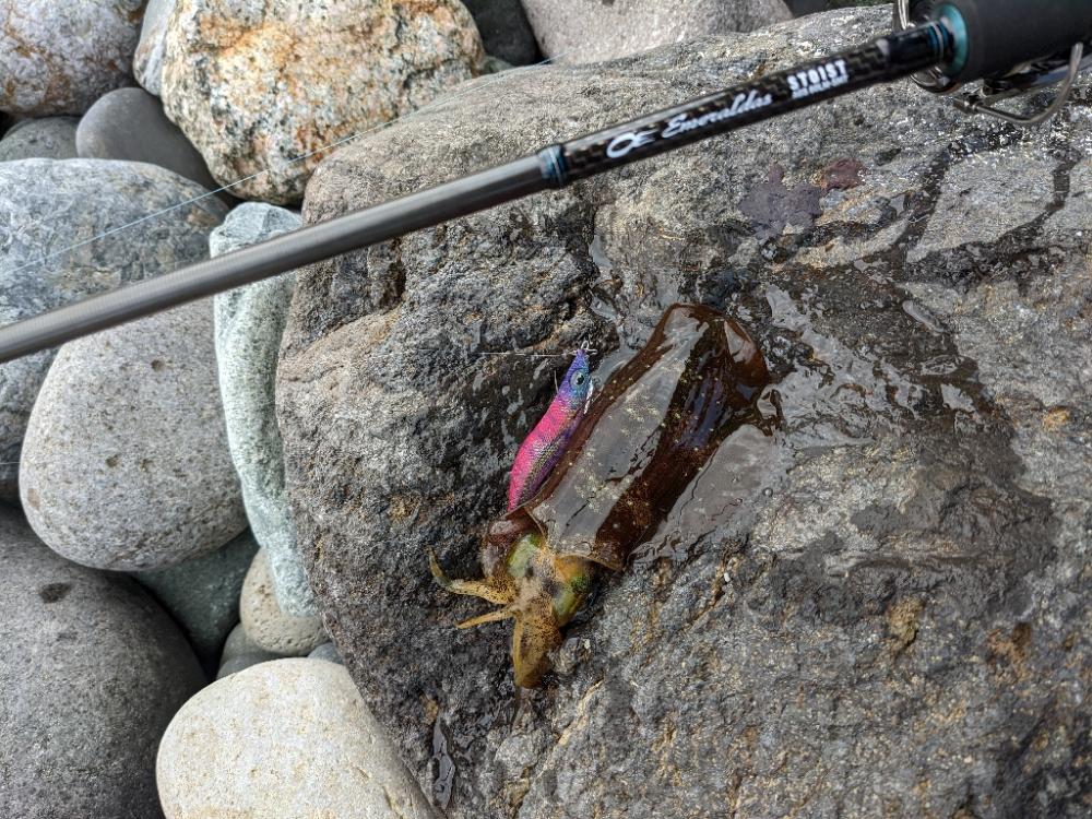 40杯以上！やっぱSMTはすごい(・×・)