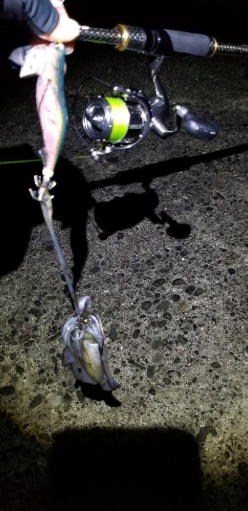 戸坂～塩津～下津～初島