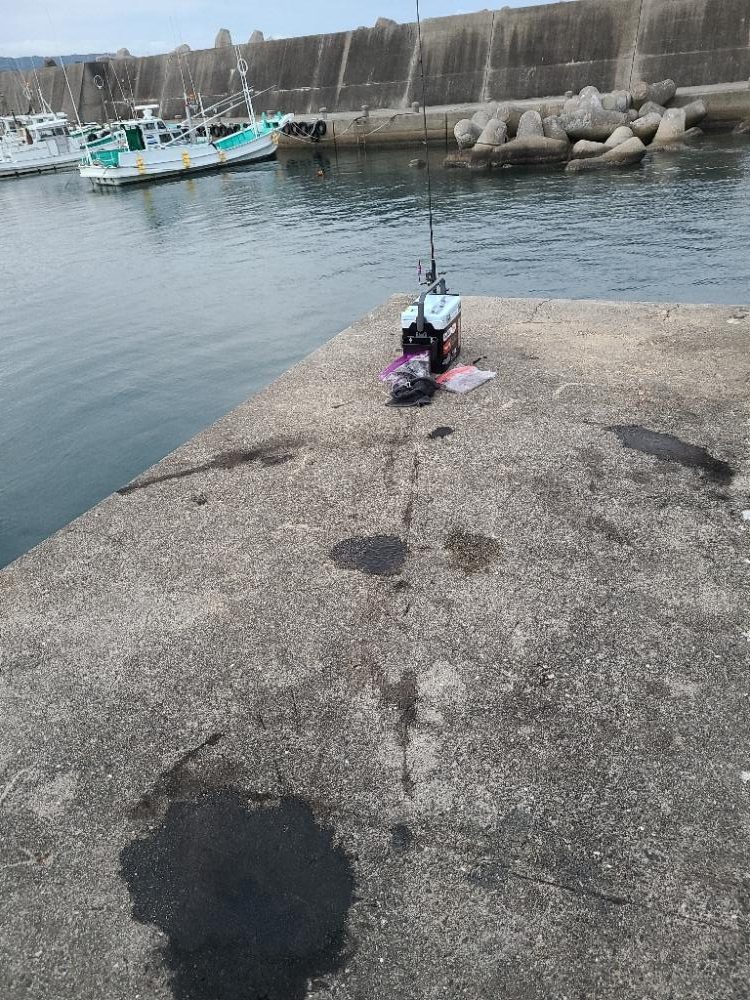 リールの入魂！久しぶりのエギング！