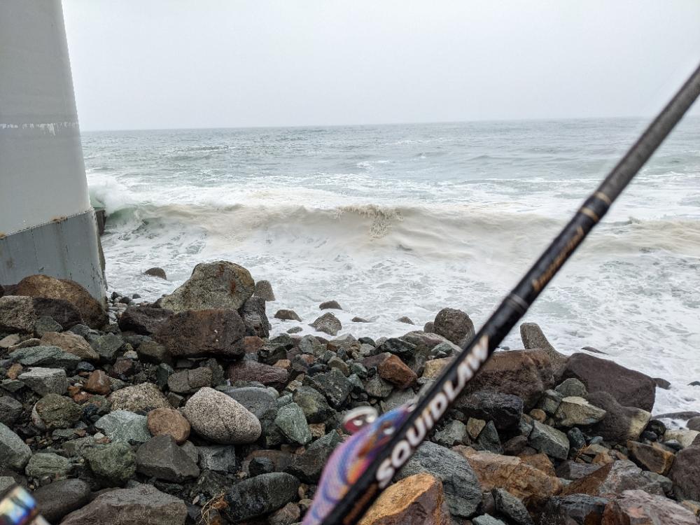 ババ荒れにて奔走も41杯(・x・*)♪