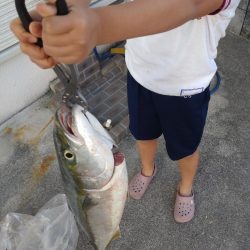 朝マズメ、ド干潮＆潮止まりでの一瞬