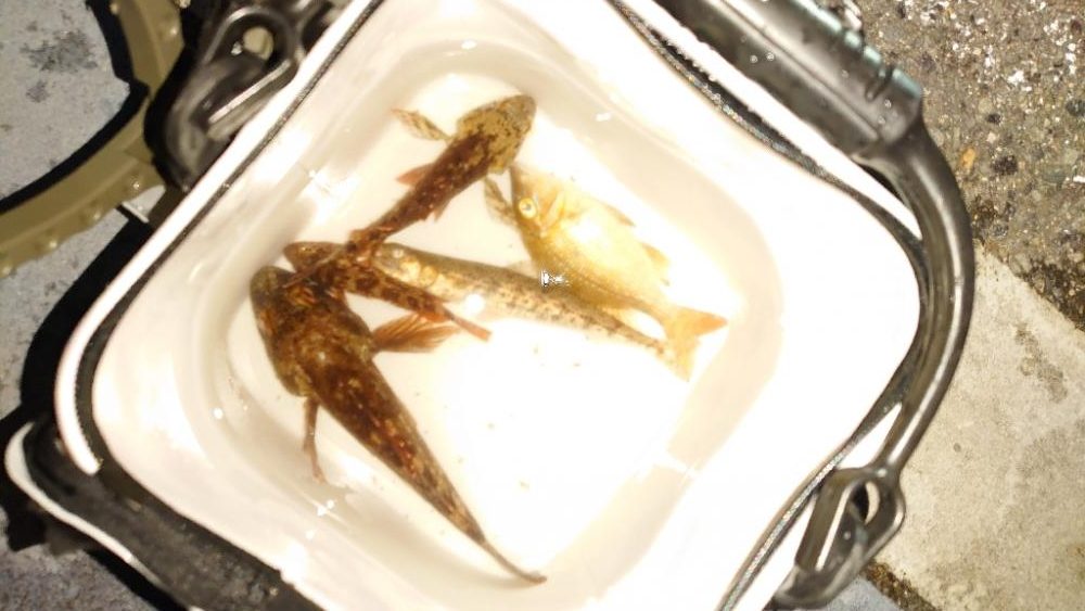 ライトロックゲーム