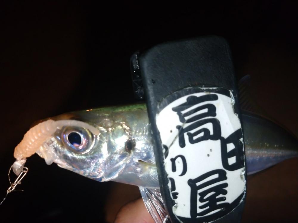 今夜はややむず