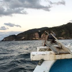 ワラサ＋ハマチ爆釣！