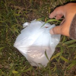 清掃活動：アジング36