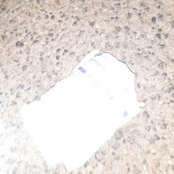 清掃活動：アジング37