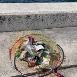 清掃活動：小型2枚