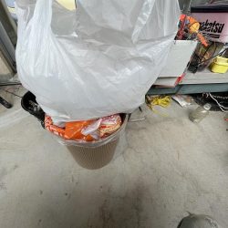 清掃活動：ごきげんイカが？