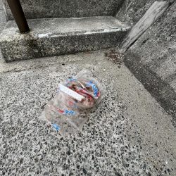 清掃活動：渋い季節の入り口