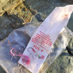 清掃活動：ハマチ