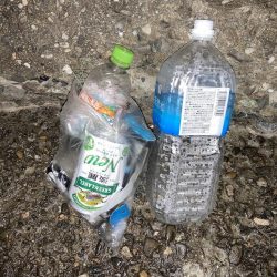 清掃活動：良型秋グレにシオ