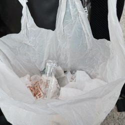 清掃活動：デカい青物釣りたい