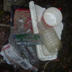 清掃活動：10月バス