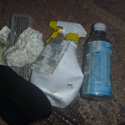 清掃活動：シャッドで