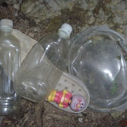 清掃活動：秋の淡水魚