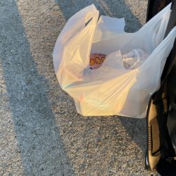 清掃活動：3ヶ月振りに、淡路島に、釣り