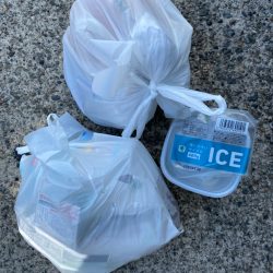 清掃活動：落ちギス、乗っ込みカレイ狙い