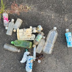 清掃活動：今日も今日とて