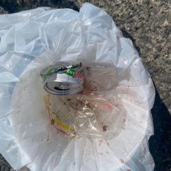 清掃活動：鍋魚