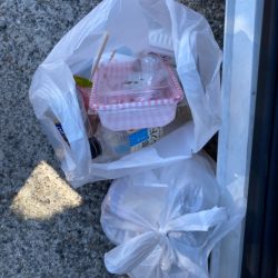 清掃活動：大阪最南端の落ちギス狙い