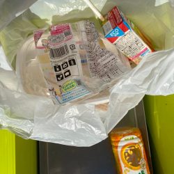 清掃活動：和歌山ティップラン