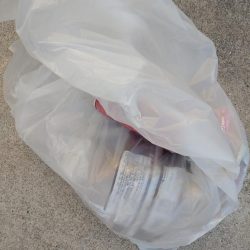 清掃活動：朝マズメ、ド干潮＆潮止まりでの一…