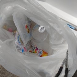 清掃活動：岩国沖開幕！！！