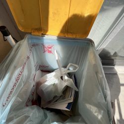 清掃活動：ノーハイシーズン