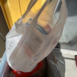 清掃活動：アジ渋い