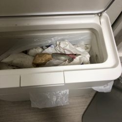 清掃活動：【和歌山遠征】念願の1杯はリリー…