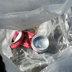 清掃活動：夢はネイリスト