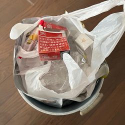 清掃活動：バイブレーションジャーク！