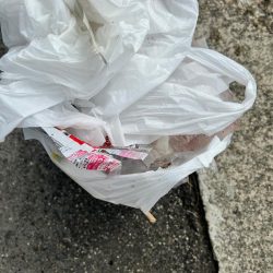 清掃活動：久しぶりの青物！！