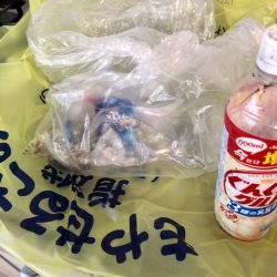 清掃活動：青物