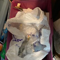 清掃活動：カワハギ＆ティップラン