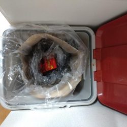 清掃活動：若潮でのティップラン