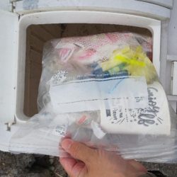 清掃活動：エギングシーズンにてまさかの釣果…