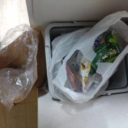 清掃活動：失われし鰯を求めて