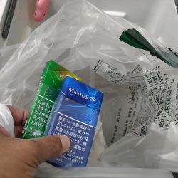 清掃活動：沖磯から青物狙い