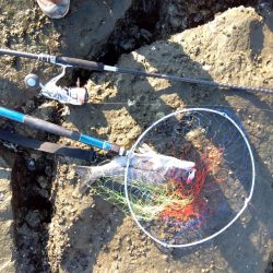 いや…なぜかつれ続ける本日