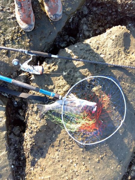 いや…なぜかつれ続ける本日