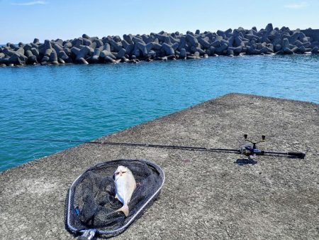 シマアジングとネイリング