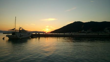 鯖がつれました。