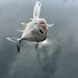 メッキトップゲーム