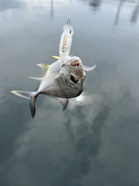 メッキトップゲーム