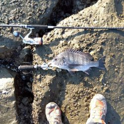 いや…なぜかつれ続ける本日