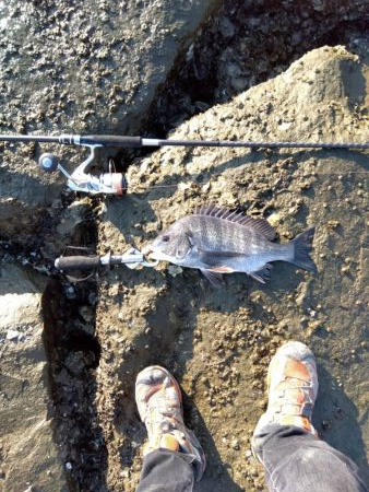 いや…なぜかつれ続ける本日