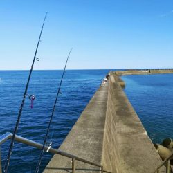 シマアジングとネイリング