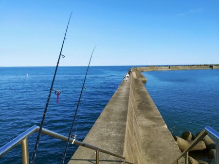 シマアジングとネイリング